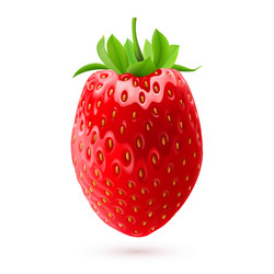 Similar image 6255906