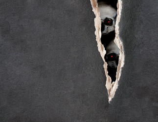 Similar image 6256128