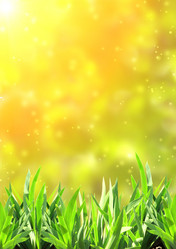 Similar image 6256149