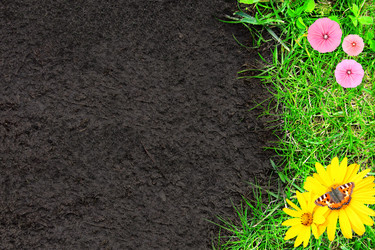 Similar image 6256151