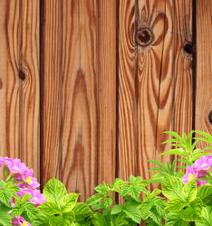 Similar image 6256154