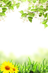 Similar image 6256169