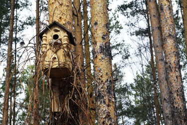 Similar image 6256318