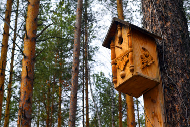 Similar image 6256319