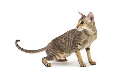 Similar image 6256934