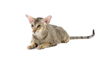 Similar image 6256942