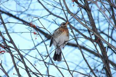 Similar image 6257006