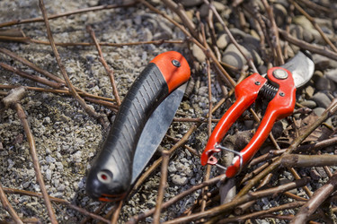 Similar image 6257010