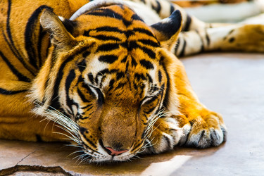 Similar image 6257036