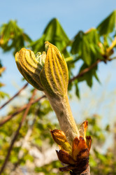 Similar image 6257074