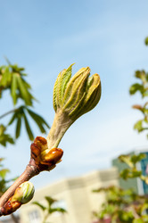 Similar image 6257075