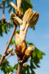 Similar image 6257076