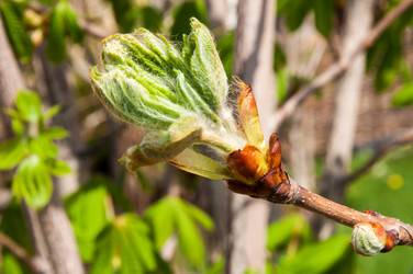 Similar image 6257077