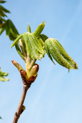 Similar image 6257078