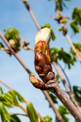 Similar image 6257081