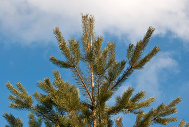 Similar image 6257158