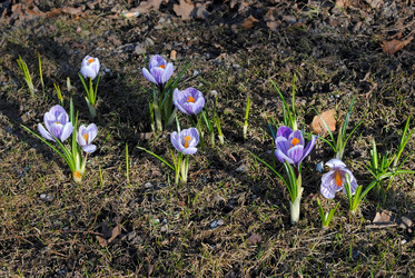 Similar image 6257175