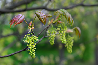 Similar image 6257396