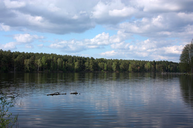 Similar image 6257402