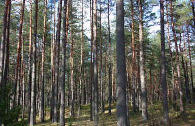 Similar image 6257422