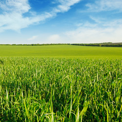 Similar image 6257450