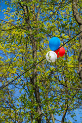 Similar image 6257458