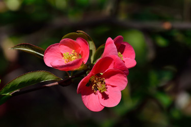 Similar image 6257469