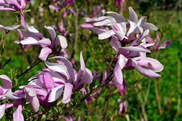 Similar image 6257470