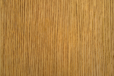 Similar image 6257554