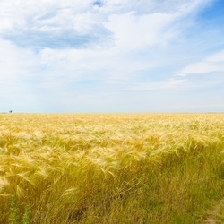 Similar image 6257652