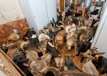 Similar image 6257655