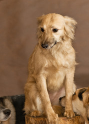 Similar image 6257656