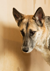 Similar image 6257659