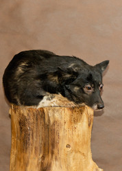 Similar image 6257664