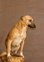 Similar image 6257665