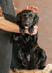 Similar image 6257670