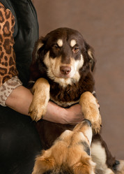 Similar image 6257672