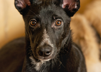 Similar image 6257674