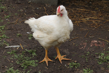 Similar image 6257686