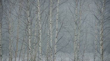 Similar image 6257732