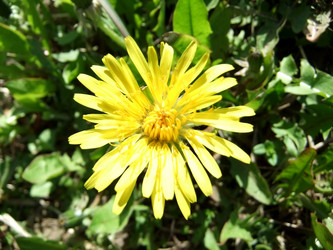 Similar image 6257743