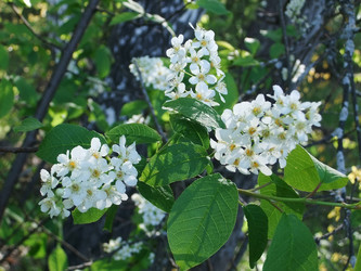 Similar image 6257744