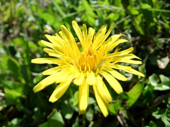 Similar image 6257745