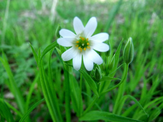 Similar image 6257746