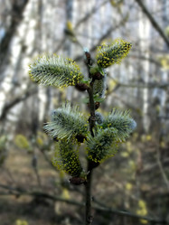 Similar image 6257748