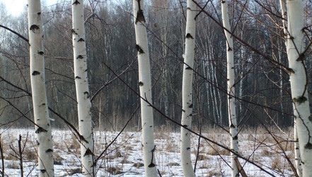 Similar image 6257749