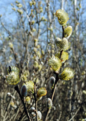 Similar image 6257750