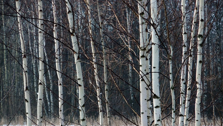 Similar image 6257751