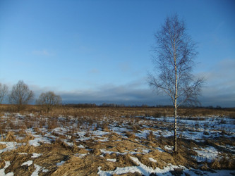 Similar image 6257753