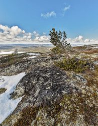 Similar image 6257842